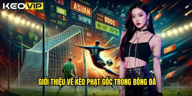 Giới thiệu về kèo phạt góc trong bóng đá