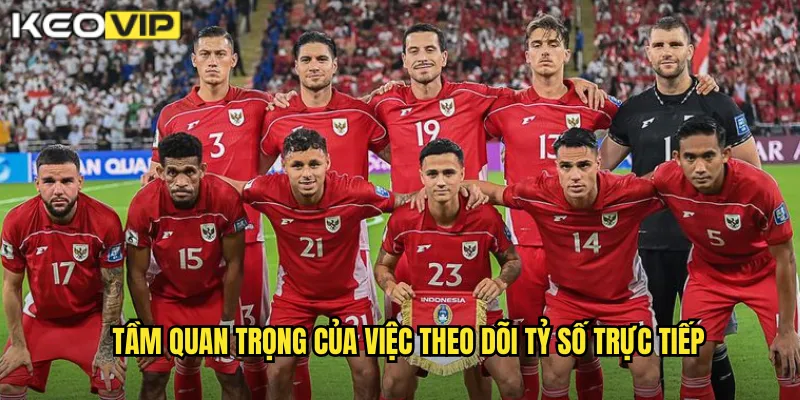Tầm quan trọng của việc theo dõi tỷ số trực tiếp