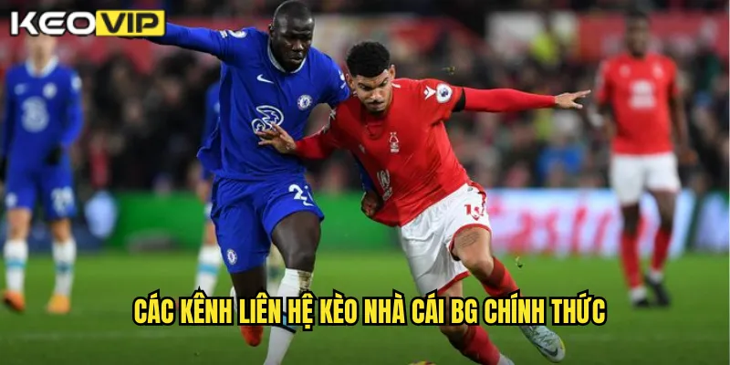 Các kênh liên hệ kèo nhà cái bg chính thức
