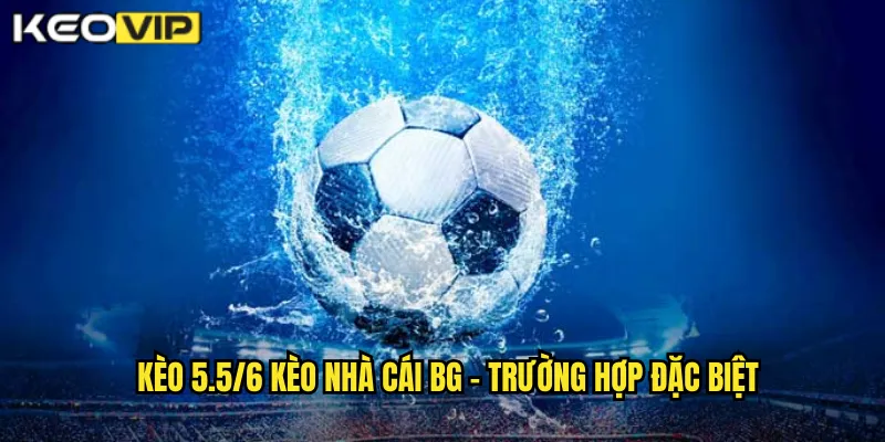 Kèo 5.5/6 kèo nhà cái BG - Trường hợp đặc biệt